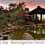 Japanischer Bonsaigarten Ferch Japanischer Bonsaigarten Ferch
