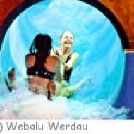 Webalu in Werdau Webalu in Werdau