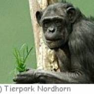 Tierpark Nordhorn Tierpark Nordhorn