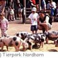 Tierpark Nordhorn - kigeb Tierpark Nordhorn - kigeb