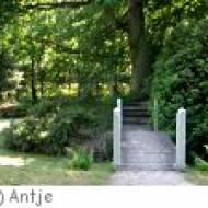 Schlosspark Lütetsburg