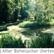 Der Alte Botanische Garten in Göttingen