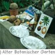 Kindergeburtstag im Alten Botanischen Garten Göttingen