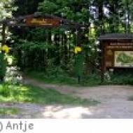 Löwenzahn-Entdeckerpfad in Drei-Annen-Hohne Löwenzahn-Entdeckerpfad in Drei-Annen-Hohne