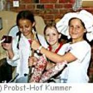Probst-Hof in Kummer Probst-Hof in Kummer