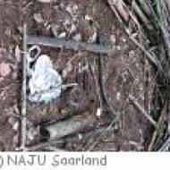 Kindergeburtstag bei der Naturschutzjugend (NAJU) Saarland Kindergeburtstag bei der Naturschutzjugend (NAJU) Saarland