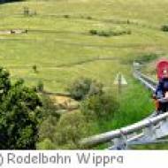 Kindergeburtstag auf der Rodelbahn in Wippra Kindergeburtstag auf der Rodelbahn in Wippra