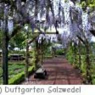 Duftgarten Salzwedel Duftgarten Salzwedel
