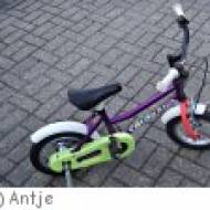 Radtour durch den Auwald in Leipzig Radtour durch den Auwald in Leipzig