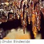 Besucherbergwerk Grube Bindweide e.V. Besucherbergwerk Grube Bindweide e.V.