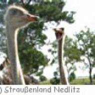 Straußenland Nedlitz