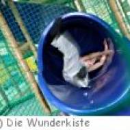 Kindergeburtstag in der "Wunderkiste" in Bad Schwalbach Kindergeburtstag in der "Wunderkiste" in Bad Schwalbach