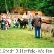 Tiergehege Reuden