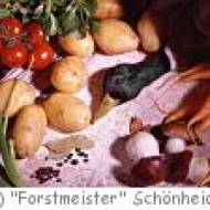Restaurant und Hotel "Forstmeister" Schönheide Restaurant und Hotel "Forstmeister" Schönheide