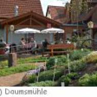 Die Daumsmühle in Mossautal