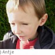 Rotwild- und Damwildgehege Rodewisch Rotwild- und Damwildgehege Rodewisch