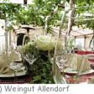 Weingut Fritz Allendorf-Georgshof Weingut Fritz Allendorf-Georgshof