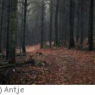 Lautertal-Radweg ab Kaiserslautern Lautertal-Radweg ab Kaiserslautern