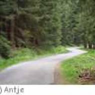 Der Palatia-Radweg von Neustadt a.d.W nach Speyer Der Palatia-Radweg von Neustadt a.d.W nach Speyer