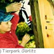 Kindergeburtstag Tierpark Görlitz