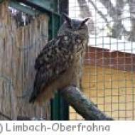 Tierpark in Limbach-Oberfrohna Tierpark in Limbach-Oberfrohna