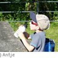 Barfuß durch den Wildpark Alte Fasanerie Barfuß durch den Wildpark Alte Fasanerie