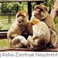 Tiergarten Neustrelitz