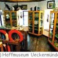 Ueckermünde Haffmuseum Haffmuseum Ueckermünde