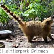 Grimmen - Heimtierpark Heimtierpark Grimmen
