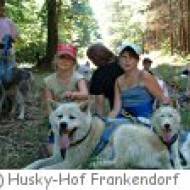 Freizeit mit Huskies