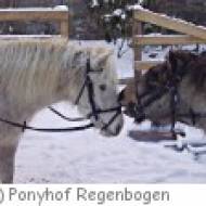 Ponyhof Regenbogen in Beelitz Ponyhof Regenbogen