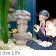 Kindergeburtstag im Sea Life Berlin Kindergeburtstag im Sea Life Berlin