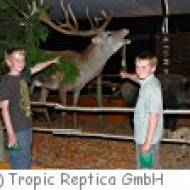 WildLife Usedom in Trassenheide WildLife Usedom
