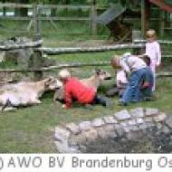 AWO SchäfereiErlebniswelt Beeskow AWO SchäfereiErlebniswelt Beeskow