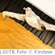 Kindergeburtstag Berlin: Ausstellung Windstärken Deutsches Technikmuseum Berlin: Ausstellung Windstärken