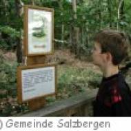 Walderlebnispfad Stoverner Wald
