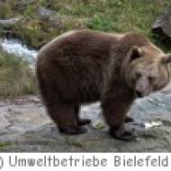 Tierpark Olderdissen Tierpark Olderdissen
