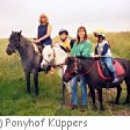 Ponyhof Wulften
