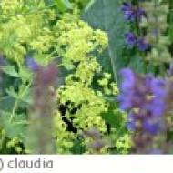 Herrliche Natur CT Herrliche Natur