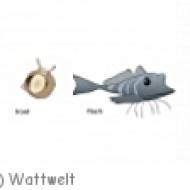 Wattwelt