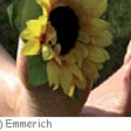 Emmerich Barfußpfad Emmerich Barfußpfad