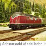 Schwarzwald Modellbahn Hausach Schwarzwald Modellbahn Hausach
