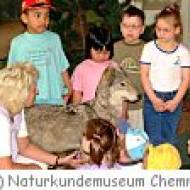 Chemnitz Museum für Naturkunde Museum für Naturkunde Chemnitz