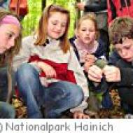 Hainich Nationalpark Nationalpark Hainich
