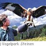 Steinen Vogelpark Vogelpark Steinen
