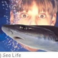 München Sea Life Sea Life München