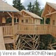 Baumkronenweg Kopfing