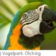 Olching Vogelpark Vogelpark Olching