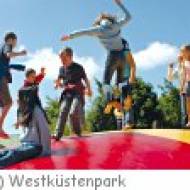 Westküstenpark Kindergeburtstag Westküstenpark