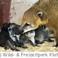 Freizeitpark Klotten